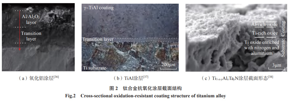 1667359630958210.jpg 1652567852533109.jpg