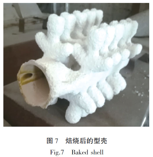 1668002197716568.jpg a5.jpg