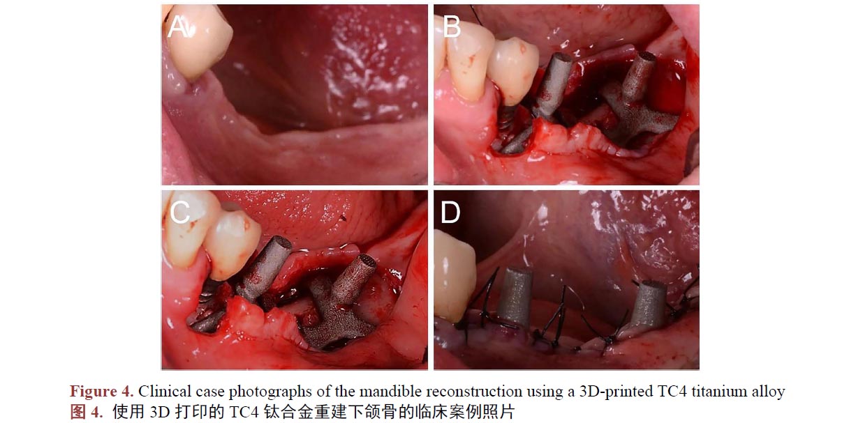 1671021362129270.jpg t4.jpg