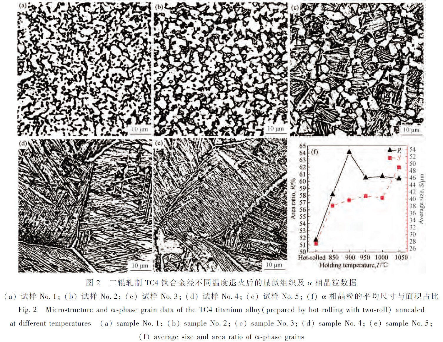 1672148268600241.jpg t2.jpg
