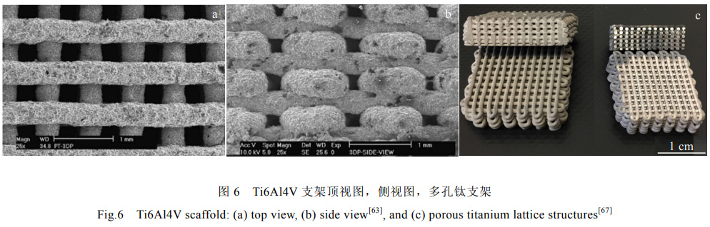 1678434558902431.jpg t6.jpg